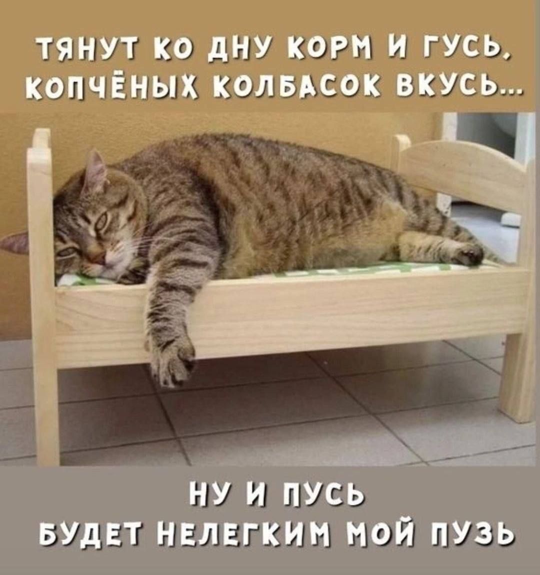 ТЯНУТ КО ДНУ КОРМ И ГУСЬ, КОПЧЁНЫХ КОЛБАСОК ВКУСЬ... ну и пусть будет нелегким мой путь
