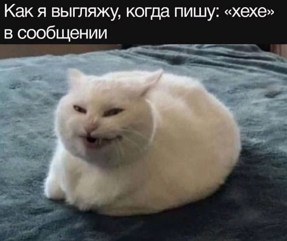 Как я выгляжу, когда пишу: «xehe» в сообщении