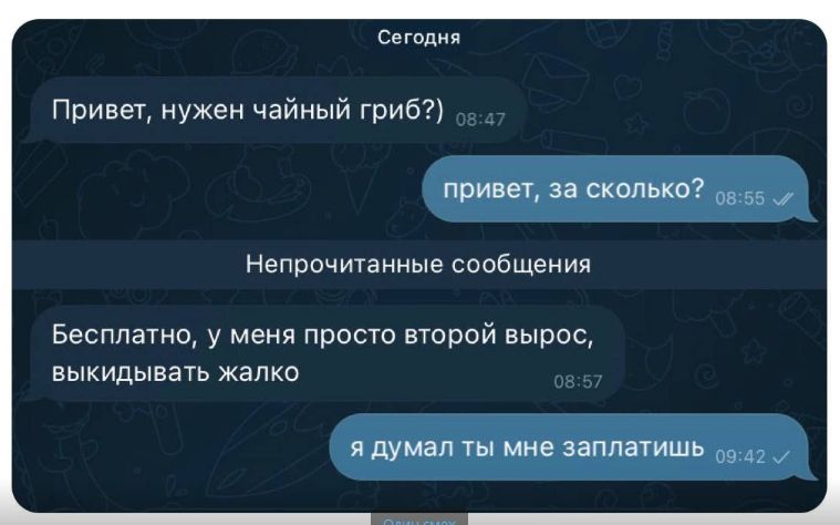 Сегодня
Привет, нужен чайный гриб?)
привет, за сколько?
Непрочитанные сообщения
Бесплатно, у меня просто второй вырос, выкидывать жалко
yа думал ты мне заплатишь