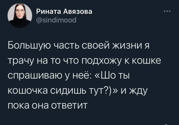 Большую часть своей жизни я трачу на то что подхожу к кошке спрашиваю у неё: «Шо ты кошочка сидишь тут?» и жду пока она ответит