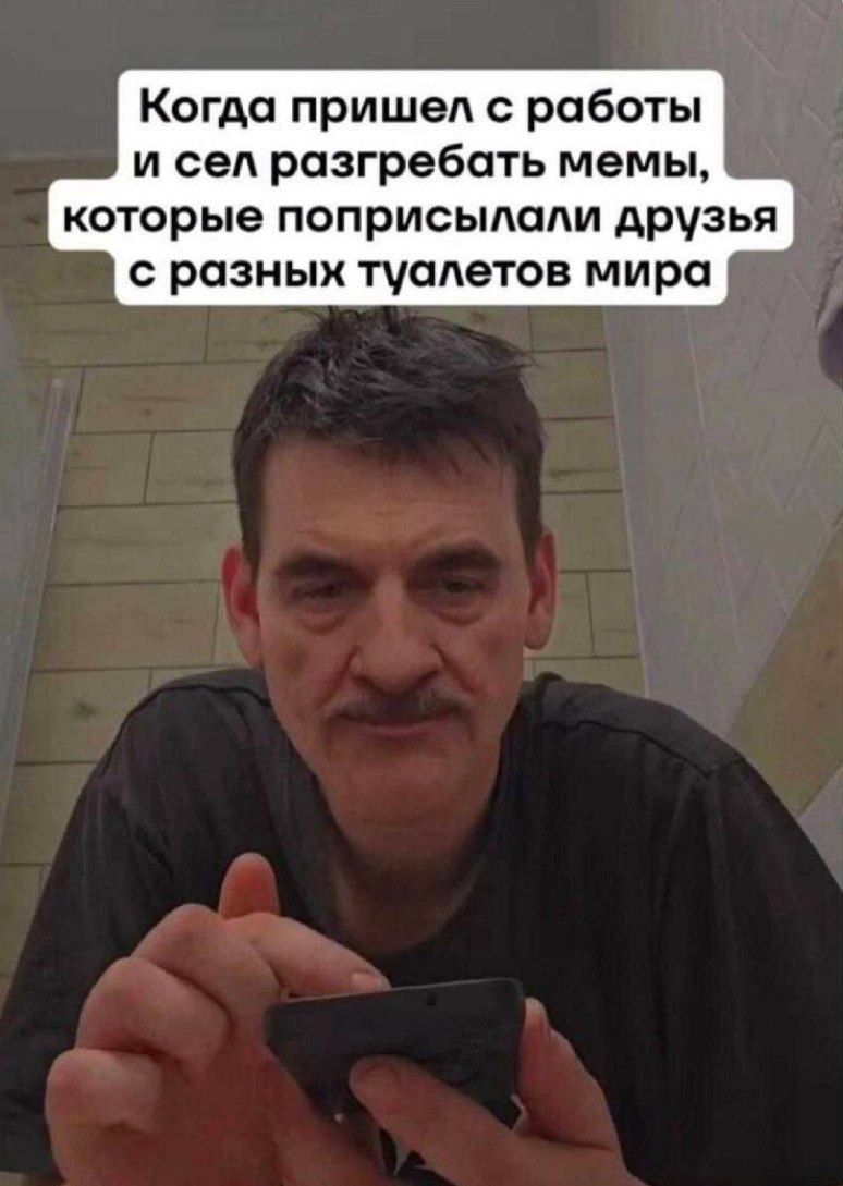 Когда пришел с работы и сел разгребать мемы, которые поприсылали друзья с разных туалетов мира