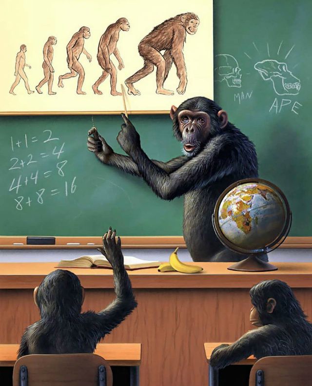 1+1=2
2x2=4
4+4=8
8+8=16
MAN
APE