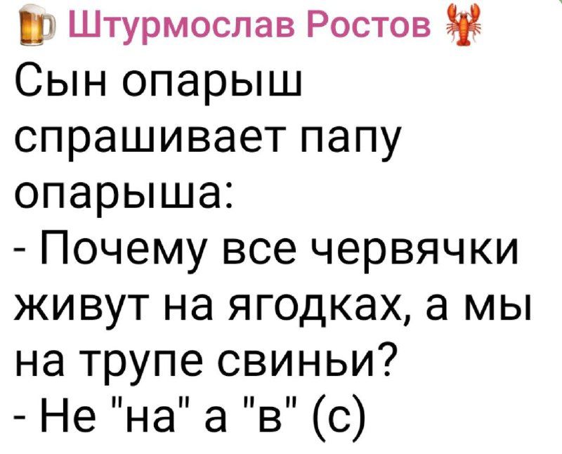 🍺 Штурмослав Ростов 🦐
Сын опарыш спрашивает папу опарыша:
- Почему все червячки живут на ягодках, а мы на трупе свиньи?
- Не \