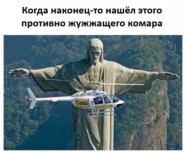 Когда наконец-то нашёл этого противно жужжащего комара