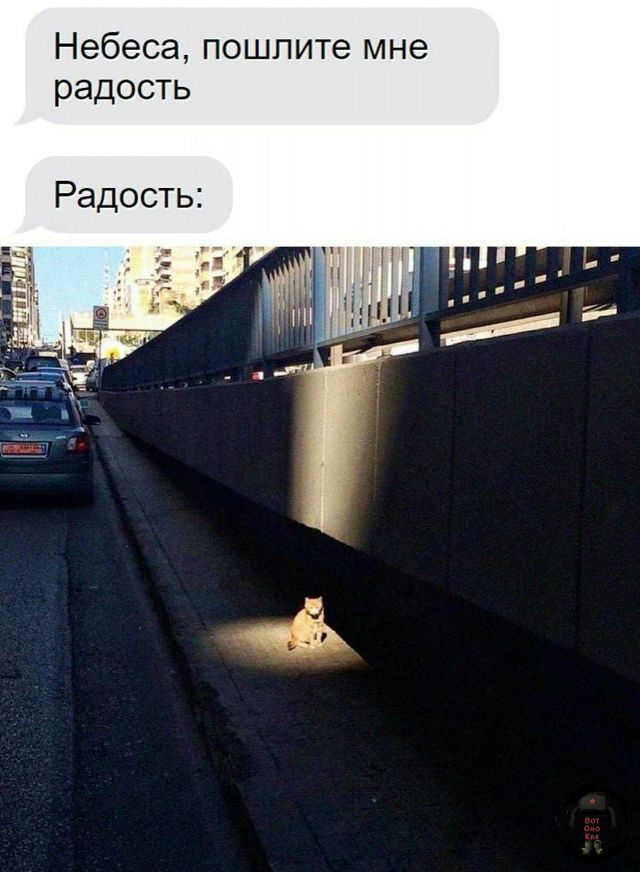 Небеса, пошлите мне радость

Радость: