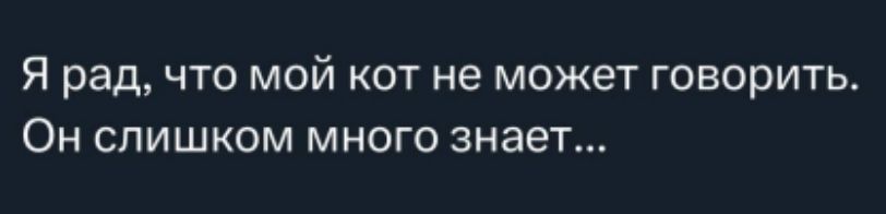 Я рад, что мой кот не может говорить. Он слишком много знает...