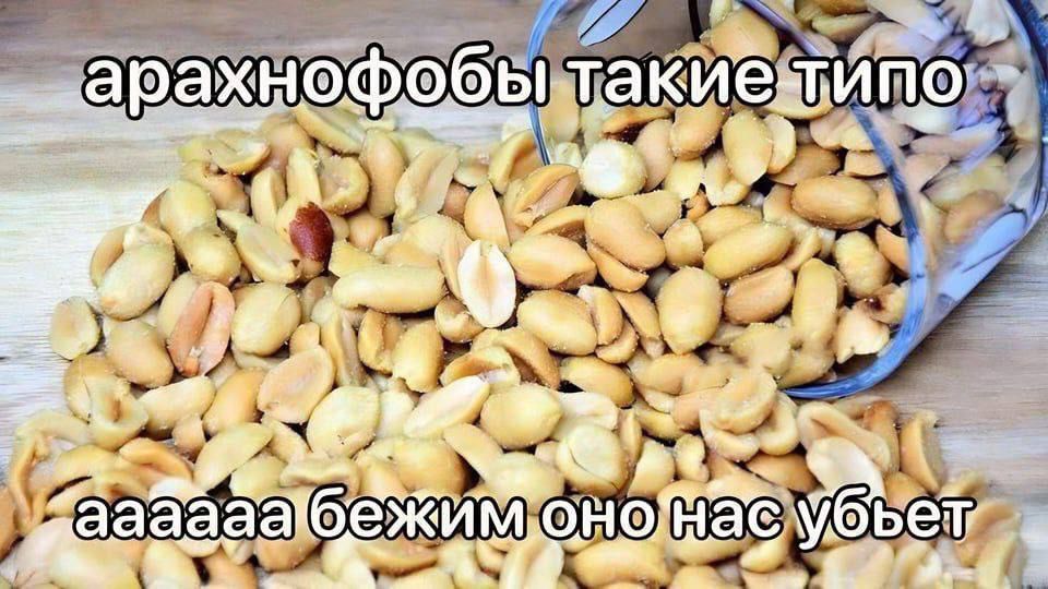 арахнофобы такие типо ааааа без них оно нас убьёт