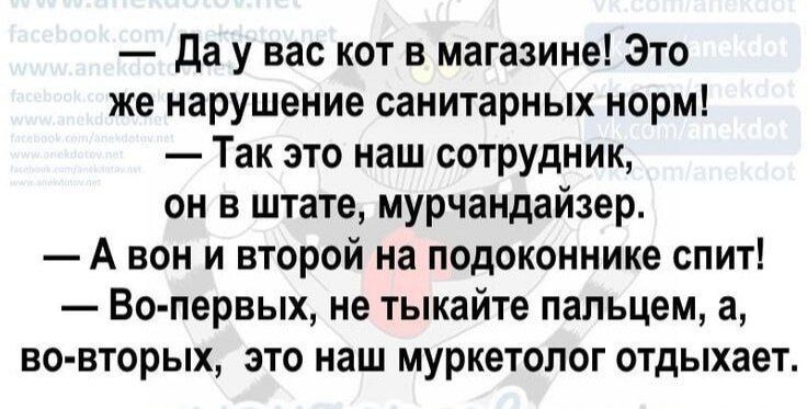 Да у вас кот в магазине! Это же нарушение санитарных норм!\n— Так это наш сотрудник, он в штате, мурчандайзер.\n— А он и второй на подоконнике спит!\n— Во-первых, не тыкайте пальцем, а во-вторых, это наш мурколог отдыхает.