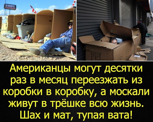 Американцы могут десятки раз в месяц переезжать из коробки в коробку, а москали живут в трёшке всю жизнь. Шах и мат, тупая вата!