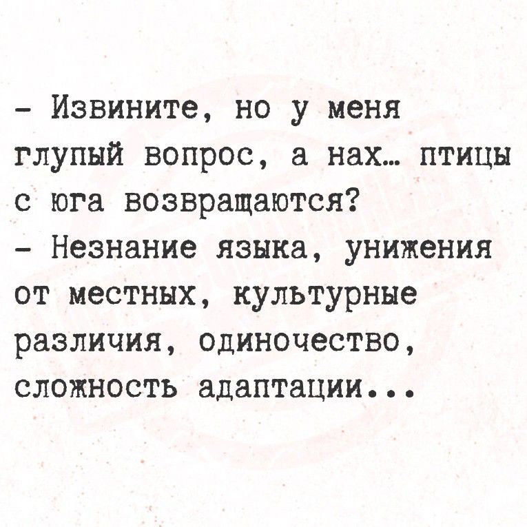 - Извините, но у меня глупый вопрос, а нах... птицы с юга возвращаются? - Незнание языка, унижения от местных, культурные различия, одиночество, сложность адаптации...