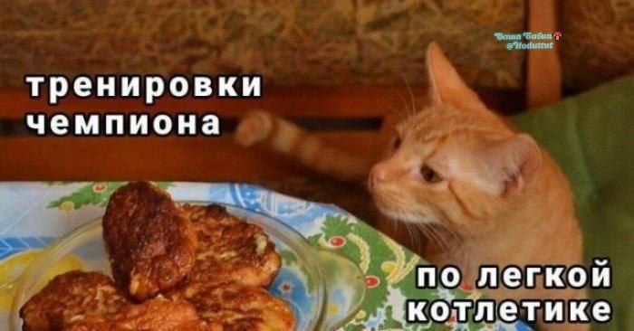 Тренировки чемпиона по лёгкой котлетке