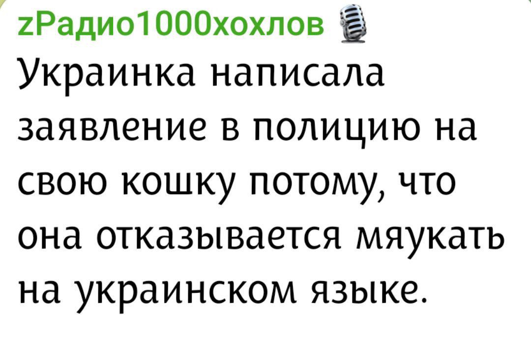 Украинка написала заявление в полицию на свою кошку потому, что она отказывается мяукать на украинском языке.