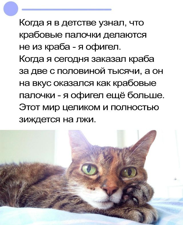 Когда я в детстве узнал, что крабовые палочки делаются не из краба - я офигел. Когда я сегодня заказал краба за две с половиной тысяч, а он на вкус оказался как крабовые палочки - я офигел ещё больше. Этот мир целиком и полностью зиждется на лжи.