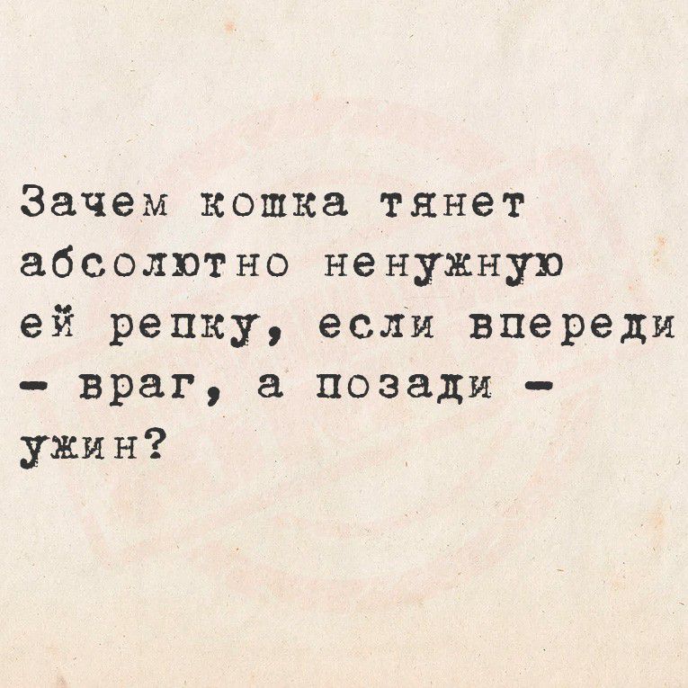 Зачем кошка тянет абсолютно ненужную ей репку, если впереди - враг, а позади - ужин?