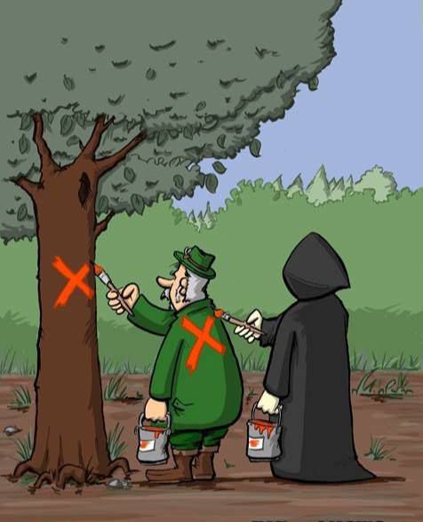 Карикатура: два человека красят дереву красные кресты; один в зелёном костюме, другой в плаще смерти.