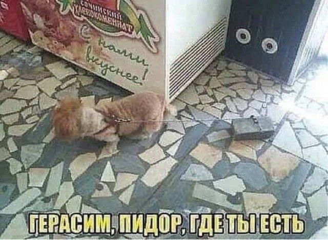 Герасим, пидор, где ты есть