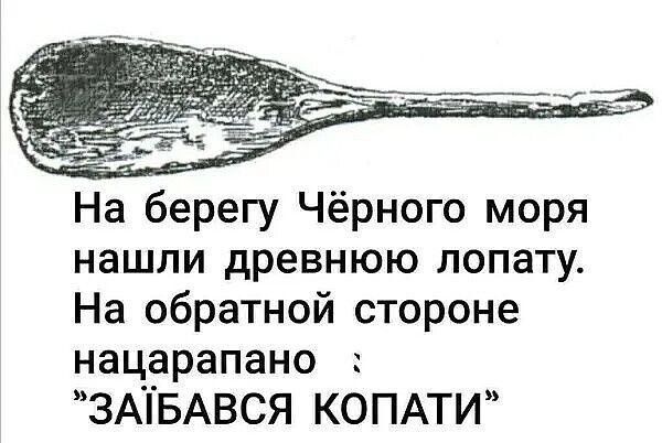На берегу Чёрного моря нашли древнюю лопатку. На обратной стороне нацарапано 