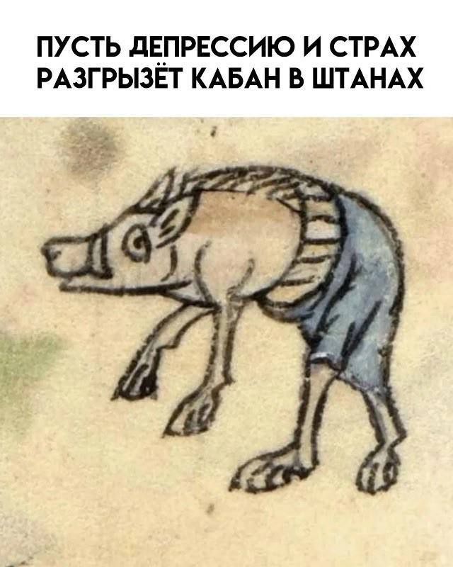 ПУСТЬ ДЕПРЕССИЮ И СТРАХ РАЗГРЫЗЖЕТ КАБАН В ШТАНАХ
