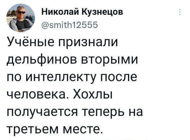 Учёные признали дельфинов вторыми по интеллекту после человека. Хохлы получаютc теперь на третьем месте.