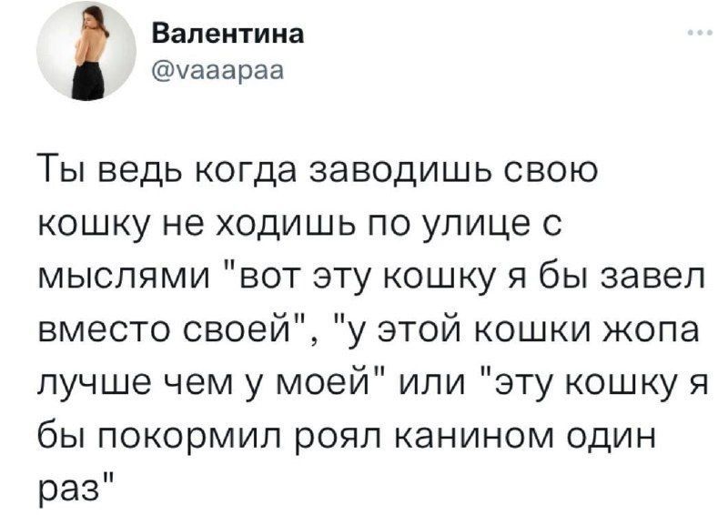 Ты ведь когда заводишь свою кошку не ходишь по улице с мыслями 