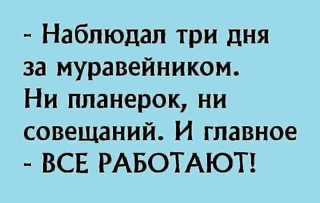 - Наблюдал три дня за муравейником. Ни планерок, ни совещаний. И главное - ВСЕ РАБОТАЮТ!