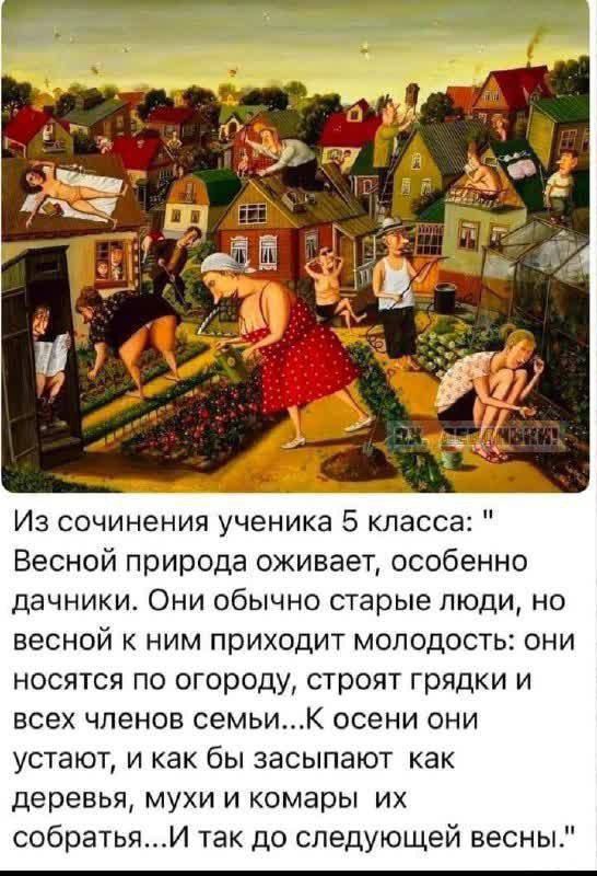 Из сочинения ученика 5 класса: 