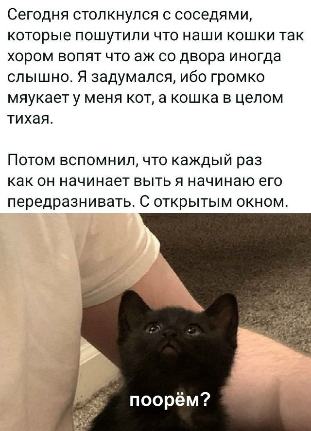 Сегодня столкнулся с соседями, которые пошутили что наши кошки так хором вопят что аж со двора иногда слышно. Я задумался, ибо громко мяукает у меня кот, а кошка в целом тихая.\n\nПотом вспомнил, что каждый раз как он начинает выть я начинаю его передразнивать. С открытым окном. 
