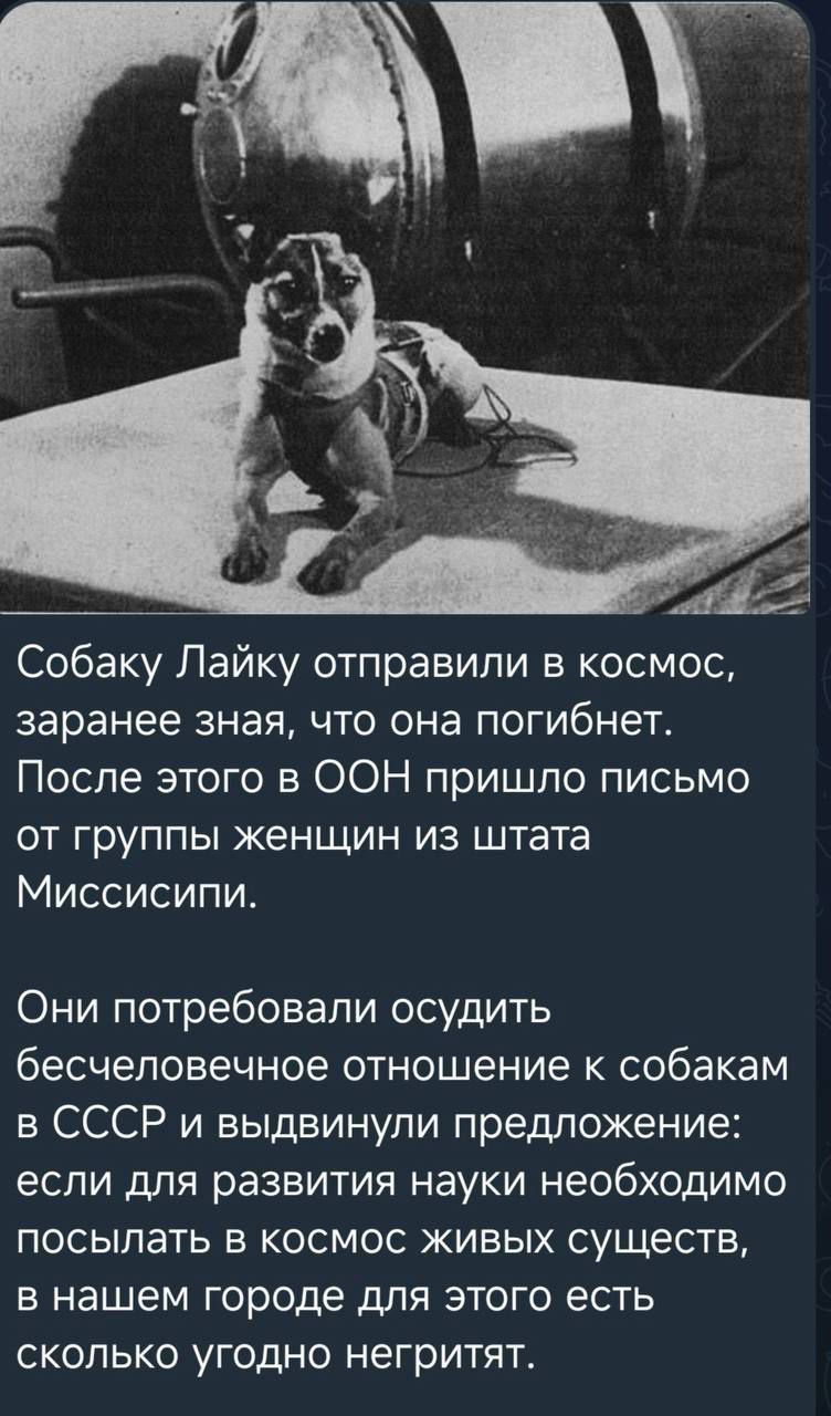 Собаку Лайку отправили в космос, заранее зная, что она погибнет. После этого в ООН пришло письмо от группы женщин из штата Миссисипи. Они потребовали осудить бесчеловечное отношение к собакам в СССР и выдвинули предложение: если для развития науки нужно посылать в космос живых существ, то столько негритят найдётся.