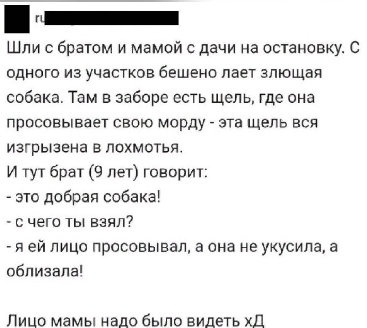 Шли с братом и мамой с дачи на остановку. Там в заборе есть щель, где она просовывает свою морду - эта щель вся изгрызена в лохмотьях. И тут брат (9 лет) говорит: - это добрая собака! - с чего ты взял? - я ей лицо просовывал, а она не укусила, а облизала! Лица мамы надо было видеть xD
