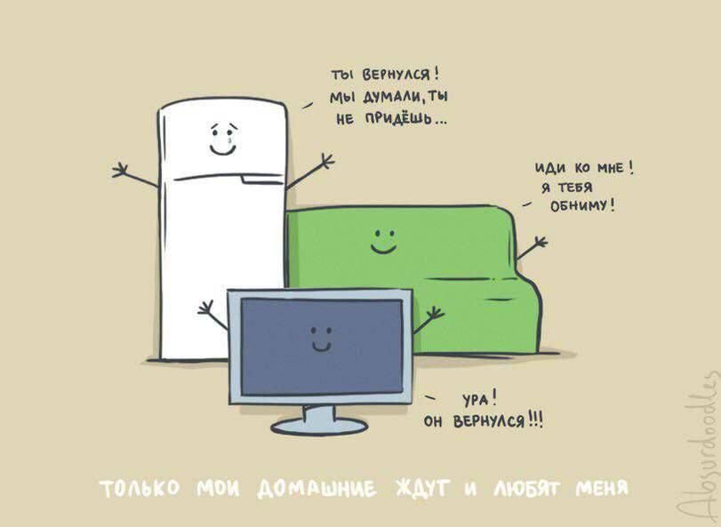 ты вернулся! мы думали, ты не придешь... / иди ко мне! я тебя обниму! / ура! он вернулся !!! / только мои домашние ждут и любят меня