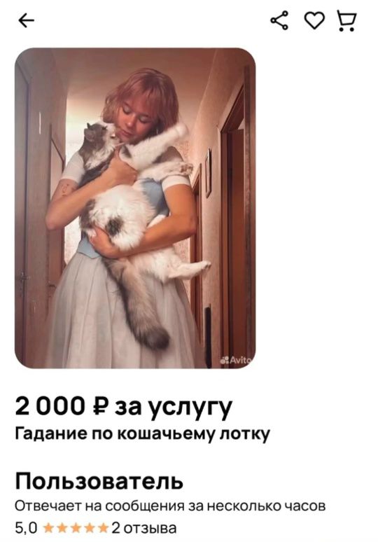 2 000 ₽ за услугу Гадание по кошачьему лотку\nПользователь отвечает на сообщения за несколько часов\n5,0 ★★★★★ 2 отзыва