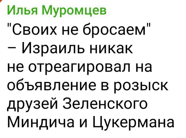 Илья Муромцев 