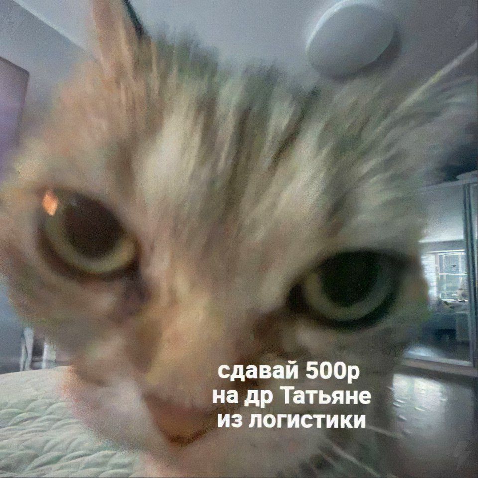 сдавай 500р на др Татьяне из логистики