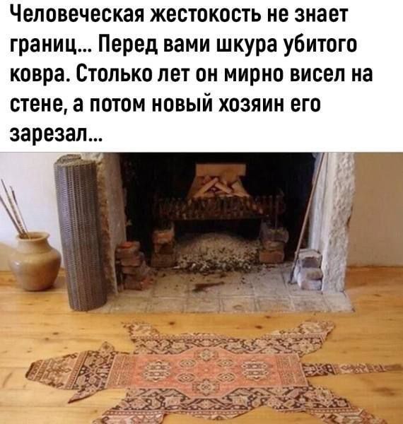 Человеческая жестокость не знает границ... Перед вами шкура убитого ковра. Столько лет он мирно висел на стене, а потом новый хозяин его зарезал...