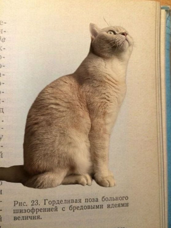 Рис. 23. Горделивая поза больного шизофренией с бредовыми идеями величия.