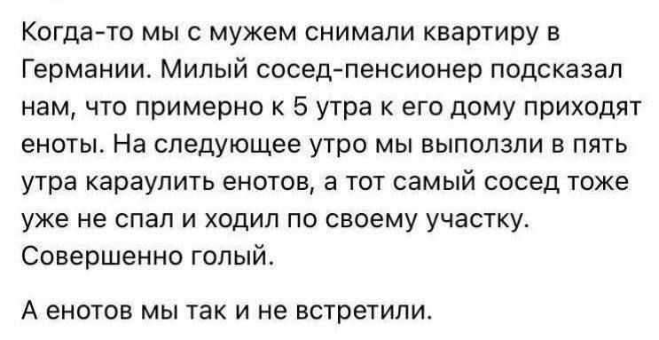 Когда-то мы с мужем снимали квартиру в Германии. Милый сосед-пенсионер подсказал нам, что примерно к 5 утра к его дому приходят еноты. На следующее утро мы выползли в пять утра караулить енотов, а тот самый сосед тоже уже не спал и ходил на свой участок. Совершенно голый. А енотов мы так и не встретили.