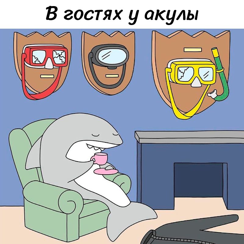В гостях у акулы