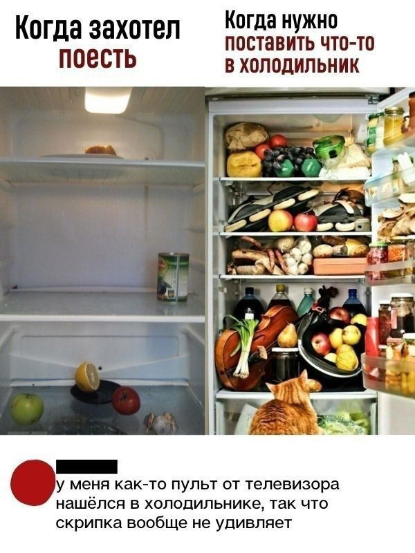 Когда захотел поесть
Когда нужно поставить что-то в холодильник
у меня как-то пульт от телевизора нашёлся в холодильнике, так что скрипка вовсе не удивляет