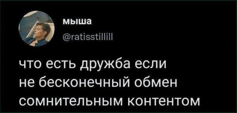 что есть дружба если не бесконечный обмен сомнительным контентом