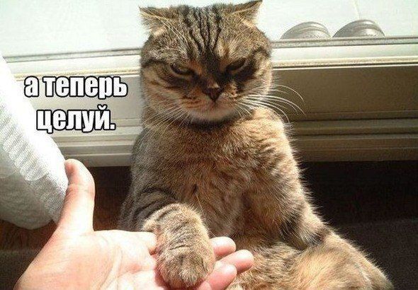 а теперь целуй.
