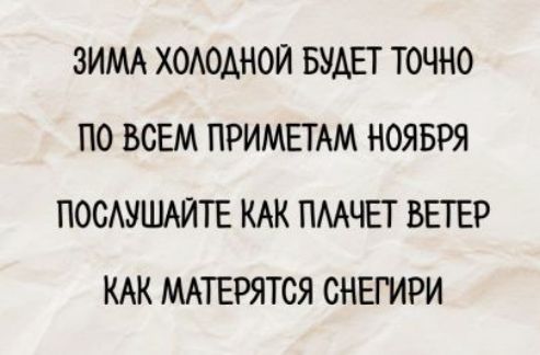 ЗИМА ХОЛОДНОЙ БУДЕТ ТОЧНО ПО ВСЕМ ПРИМЕТАМ НОЯБРЯ ПОСЛУШАЙТЕ КАК ПЛАЧЕТ ВЕТЕР КАК МАТЕРЯТСЯ СНЕГИРИ