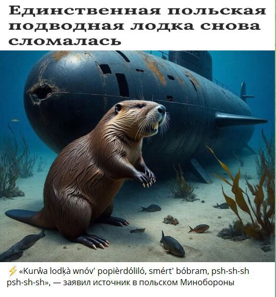 Единственная польская подводная лодка снова сломалась
⚡ «Kurwa łodka wnów popierdoliło, śmierć bobram» — заявил источник в польском Минобороны