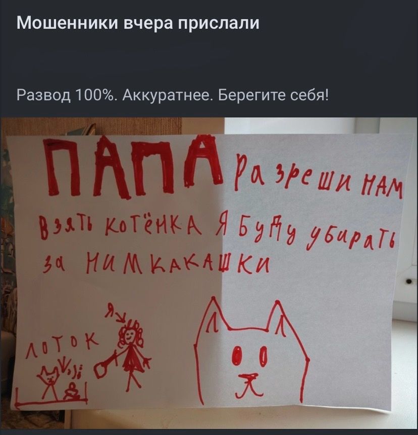 ПАПА Разреши нам взять котёнка Я буду убирать за ним какашки