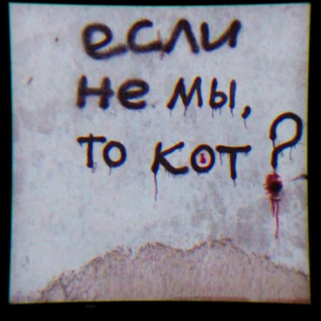 если не мы, то кот?