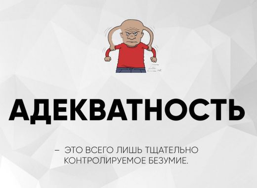 АДЕКВАТНОСТЬ
- ЭТО ВСЕГО ЛИШЬ ТЩАТЕЛЬНО КОНТРОЛИРУЕМОЕ БЕЗУМИЕ.