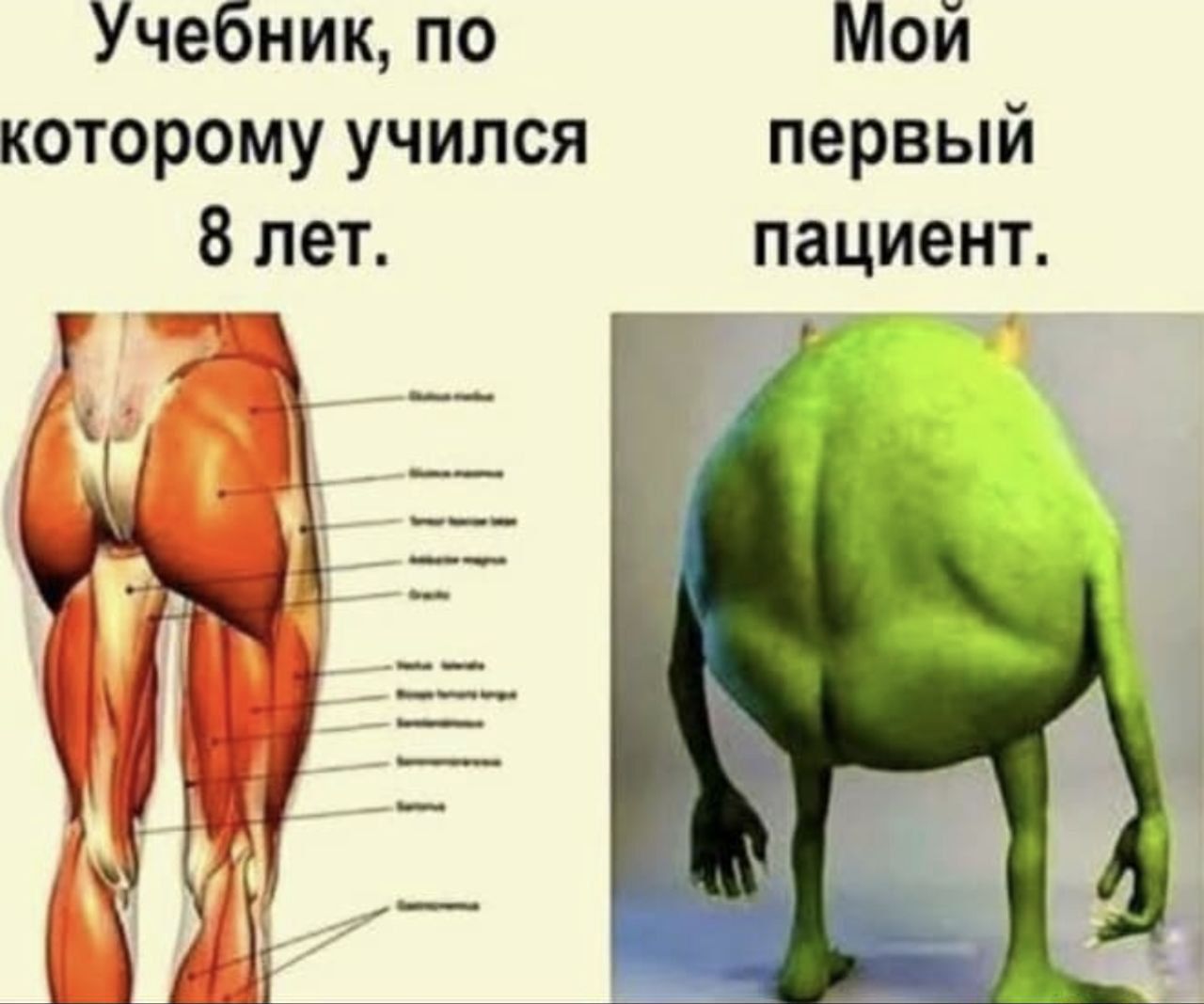 Учебник, по которому учился 8 лет. Мой первый пациент.
