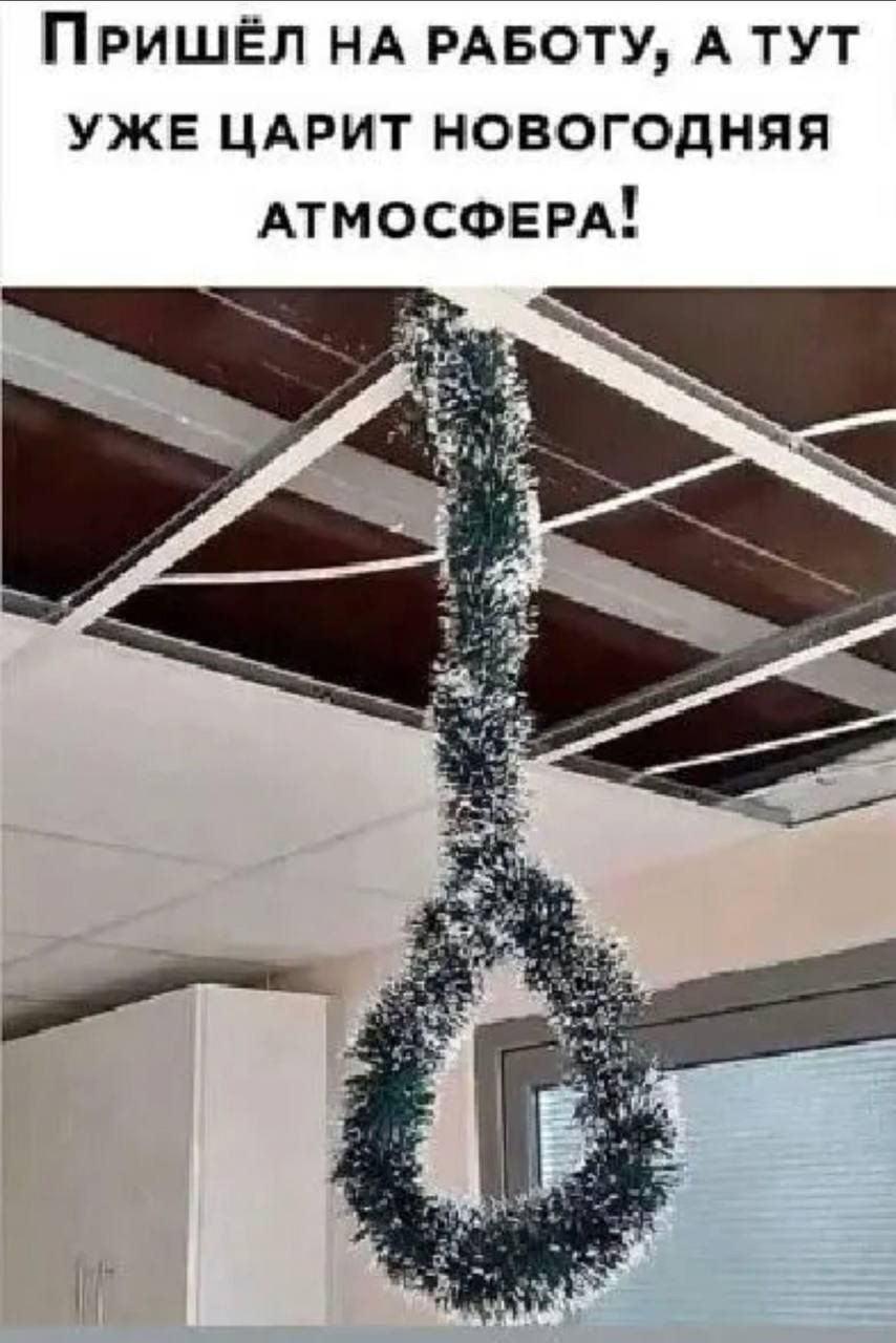 Пришёл на работу, а тут уже царит новогодняя атмосфера!
