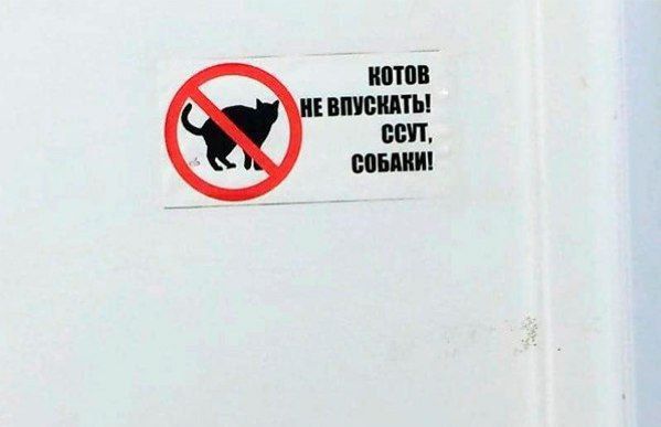 КОТОВ НЕ ВПУСКАТЬ! СОБАКИ!