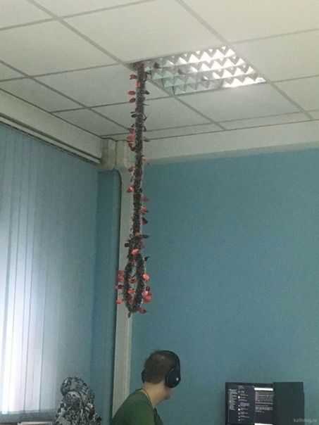 Офисная комната с подвешенной гирляндой из цветов к потолку, люди в наушниках у компьютеров.