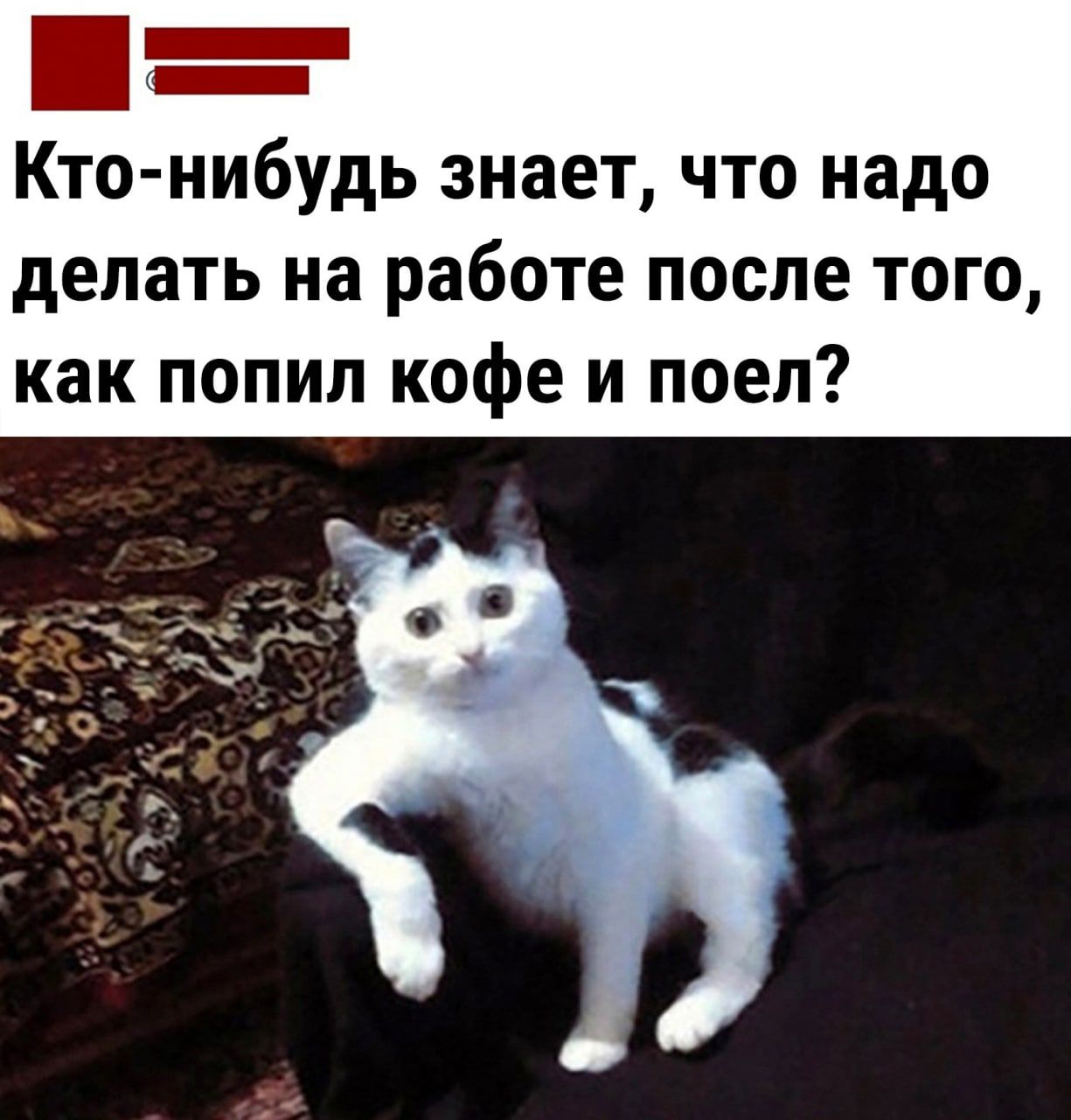 Кто-нибудь знает, что надо делать на работе после того, как попил кофе и поел?